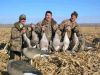 Goose_hunting.jpg Image